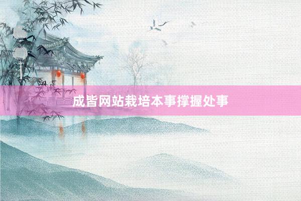 成皆网站栽培本事撑握处事