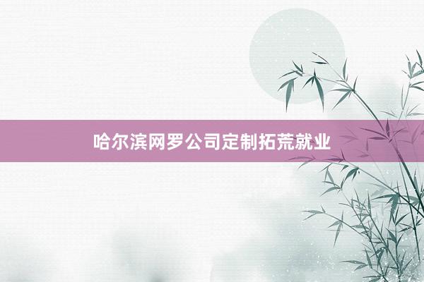 哈尔滨网罗公司定制拓荒就业