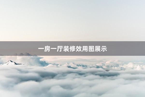 一房一厅装修效用图展示