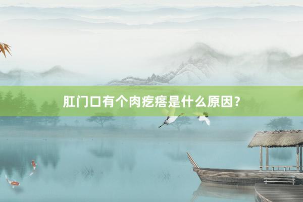 肛门口有个肉疙瘩是什么原因？