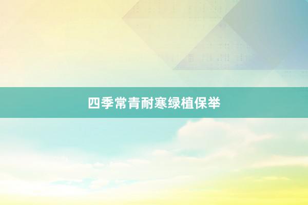 四季常青耐寒绿植保举