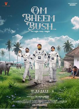 白鸟：奇迹 封面图